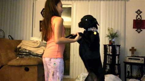 teen fucks dog|Beautiful Young Girl Playing with her Dog .